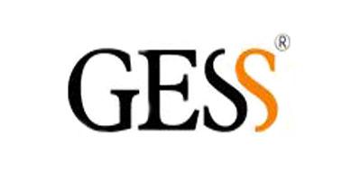 gess品牌标志logo