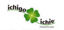 ichigo ichie品牌标志logo