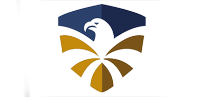 飞鹰品牌标志logo